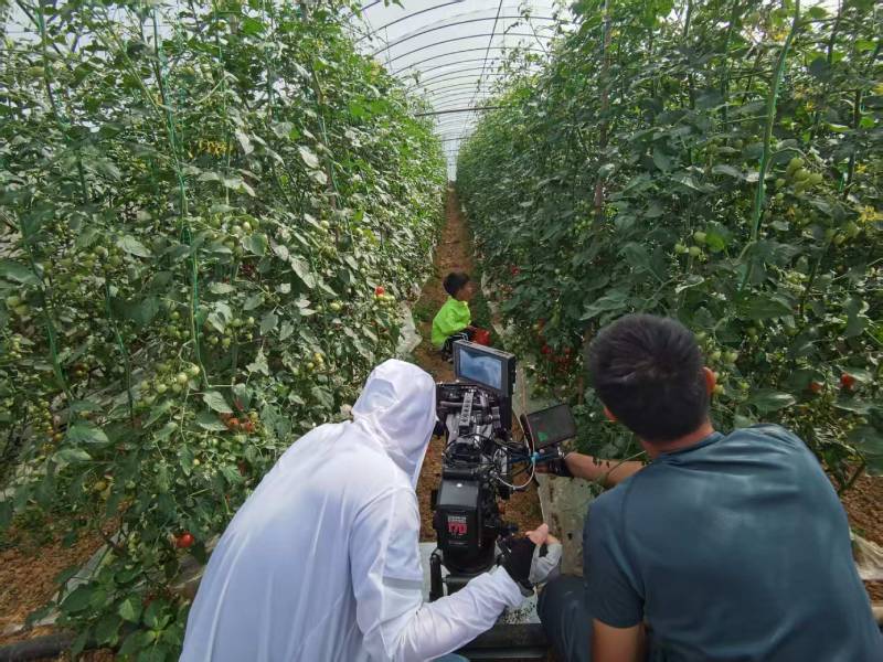 石拐区产品宣传视频拍摄公司进阶指南，助力品牌抢占传播高地